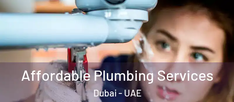 Affordable Plumbing Services Dubai - UAE