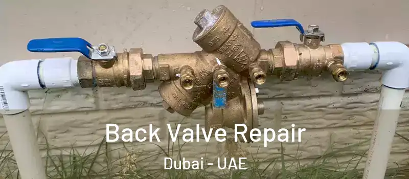 Back Valve Repair Dubai - UAE