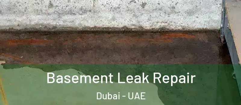 Basement Leak Repair Dubai - UAE