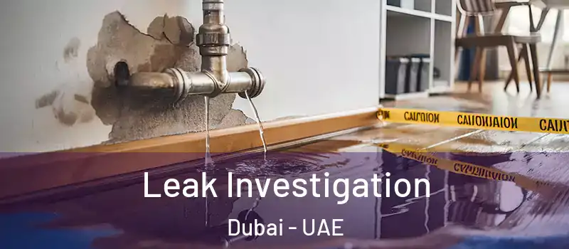  Leak Investigation Dubai - UAE