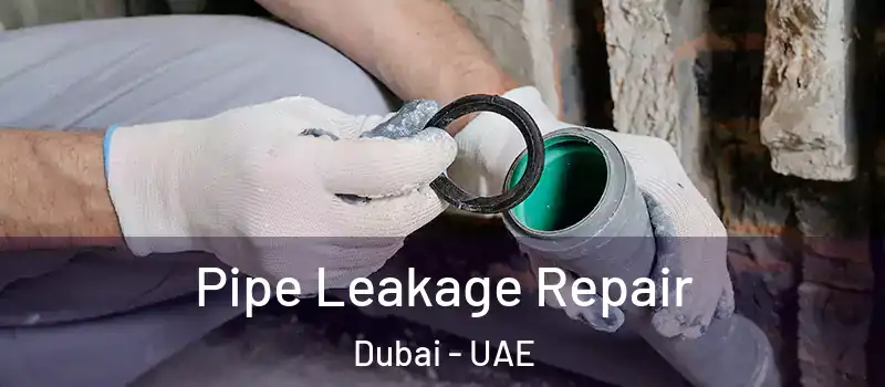 Pipe Leakage Repair Dubai - UAE