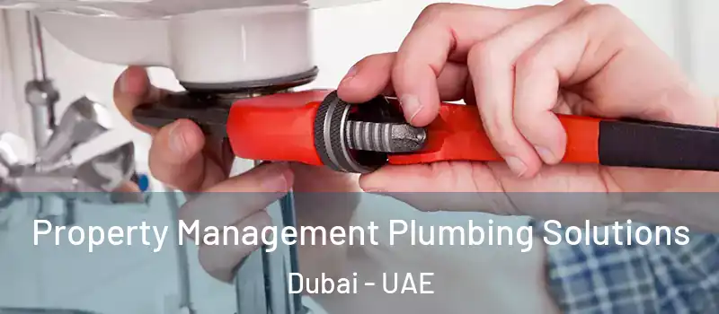 Property Management Plumbing Solutions Dubai - UAE