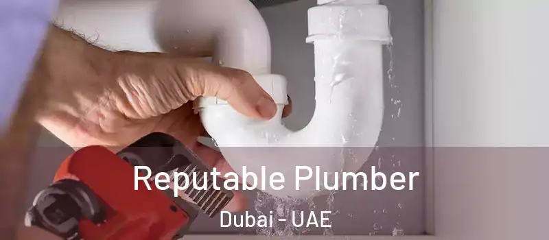 Reputable Plumber Dubai - UAE