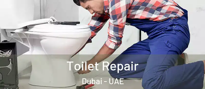 Toilet Repair Dubai - UAE